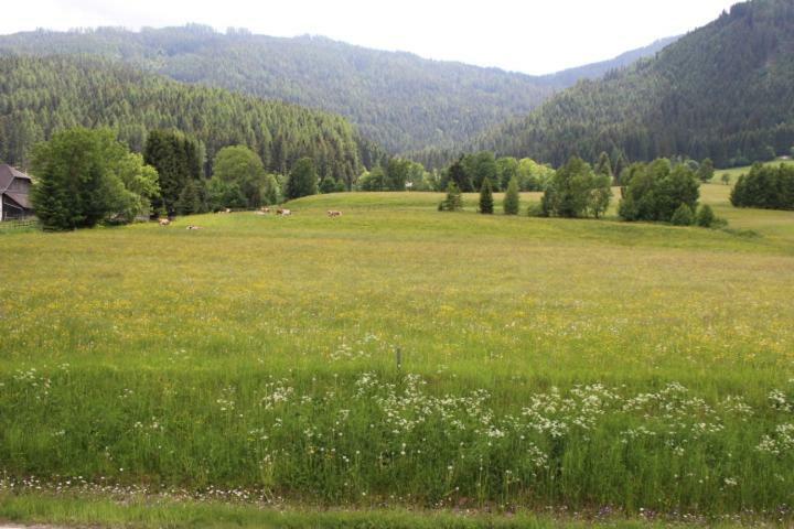 Apartament Gnesau 26 Zewnętrze zdjęcie